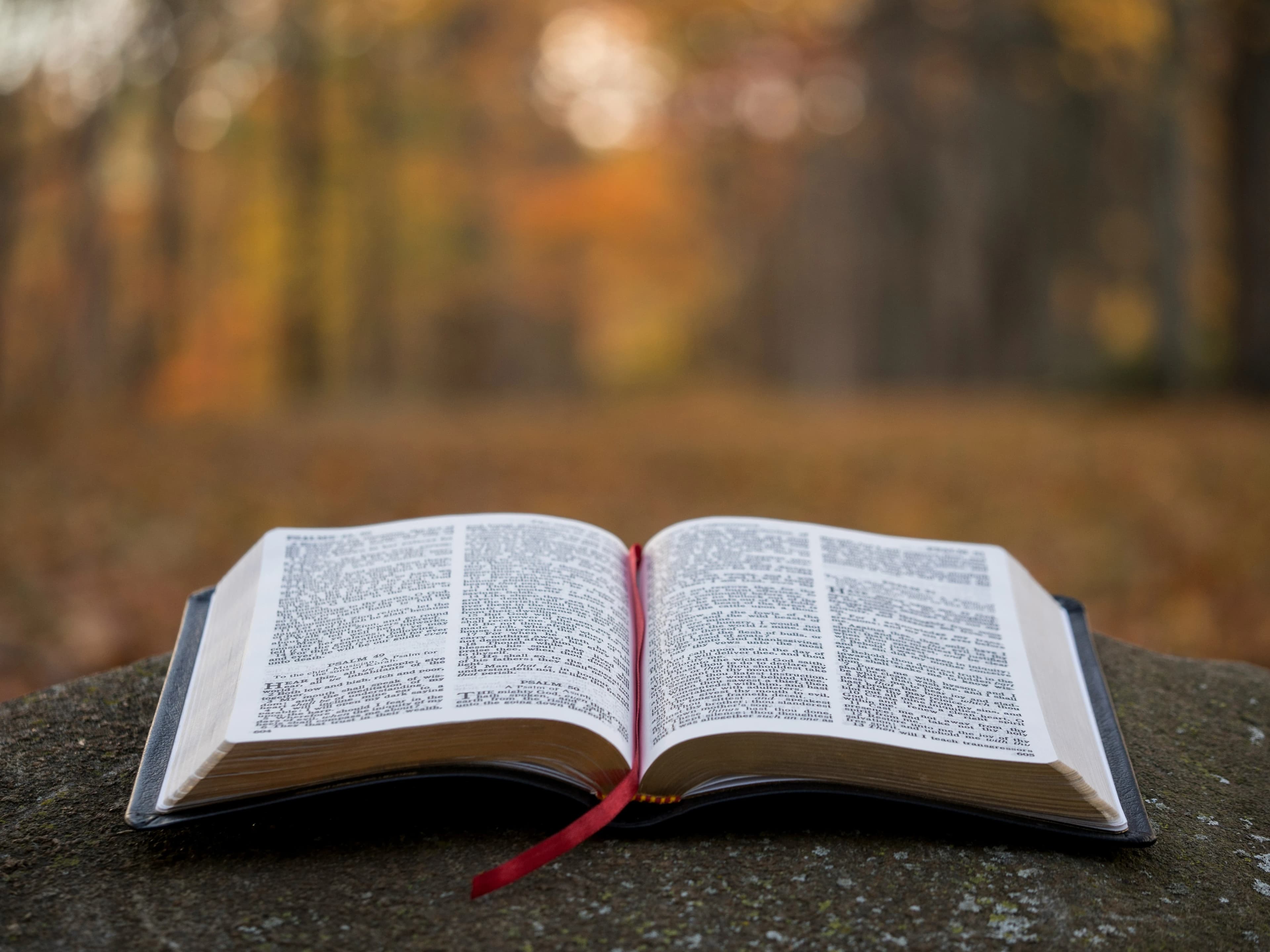 Digging Deep: Foundations of Kingdom Living
